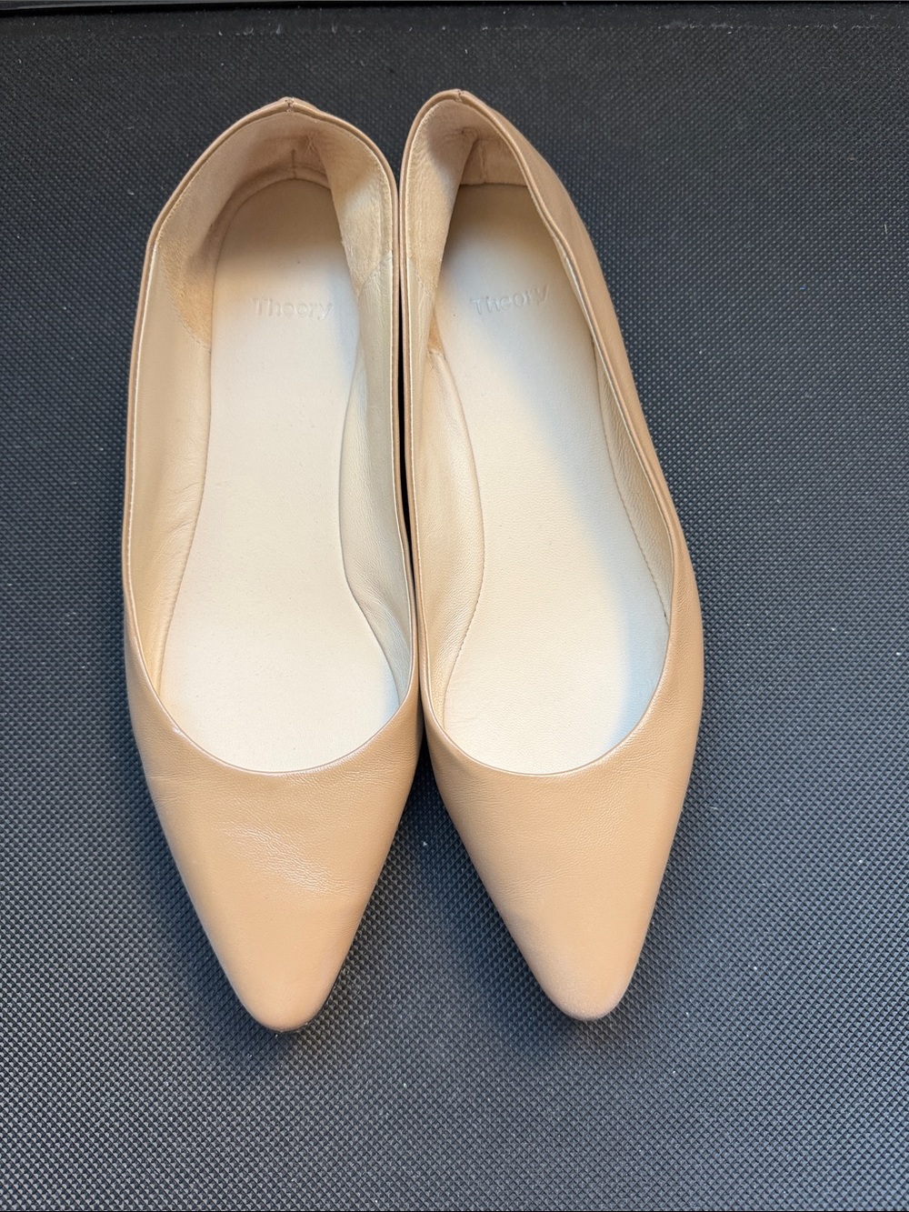 Theory Nude Pointed-Toe Leather Flats